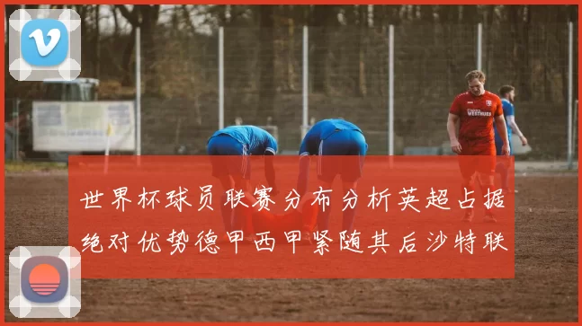 世界杯球员联赛分布分析英超占据绝对优势德甲西甲紧随其后沙特联排名第六